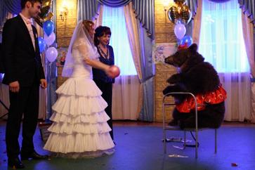 Дрессированный медведь на свадьбе в СПб