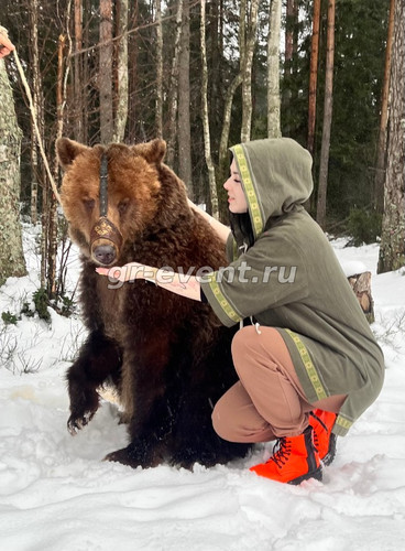 девушка и медведь